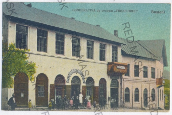 159 - BUSTENI, Prahova, store - old postcard - unused