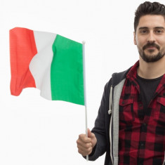 Steagul Italiei cu Catarg (46 x 30 cm) foto