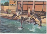 bnk cp Constanta - Delfinariu - circulata