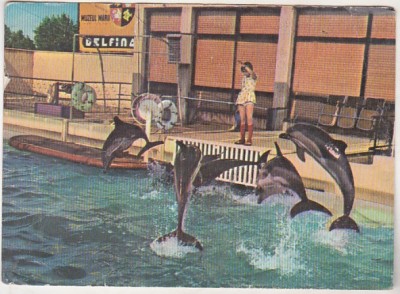 bnk cp Constanta - Delfinariu - circulata foto