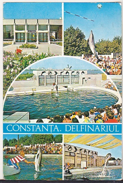 bnk cp Constanta - Delfinariul - circulata