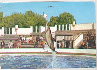 bnk cp Constanta - Delfinariul - circulata foto