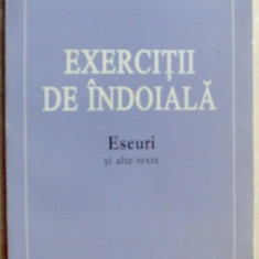 VAL CONDURACHE - EXERCITII DE INDOIALA: ESEURI SI ALTE TEXTE, 1993-1998 (1999)