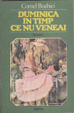 CORNEL BOZBICI - DUMINICA IN TIMP CE NU VENEAI, 1987