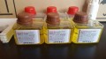 ODORIZANT CWS MISTRAL (portocale) 85 ML