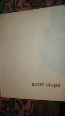 Aurel Ciupe album de pictura an 1978/98pag/ reproduceri- Mircea Deac foto