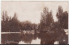 Bnk cp Bucuresti - Lacul Cismigiu - 1931, Circulata, Printata