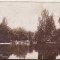 bnk cp Bucuresti - Lacul Cismigiu - 1931