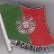 Insigna Portugalia