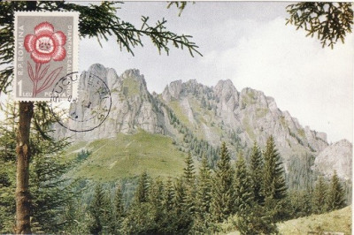 4951 - Romania 1966 - carte maxima foto