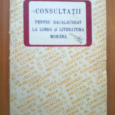 h0a Consultatii pentru bacalaureat la limba si literatura romana