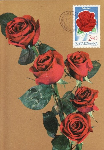 4973 - Romania 1970 - carte maxima