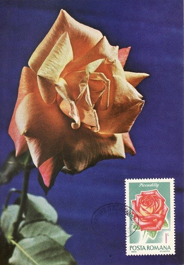 4971 - Romania 1970 - carte maxima