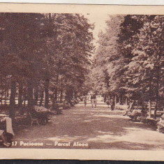 bnk cp Pucioasa - Parcul . Aleea - uzata 1945