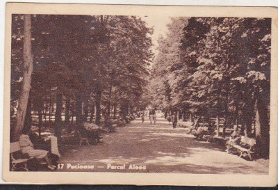 bnk cp Pucioasa - Parcul . Aleea - uzata 1945 foto