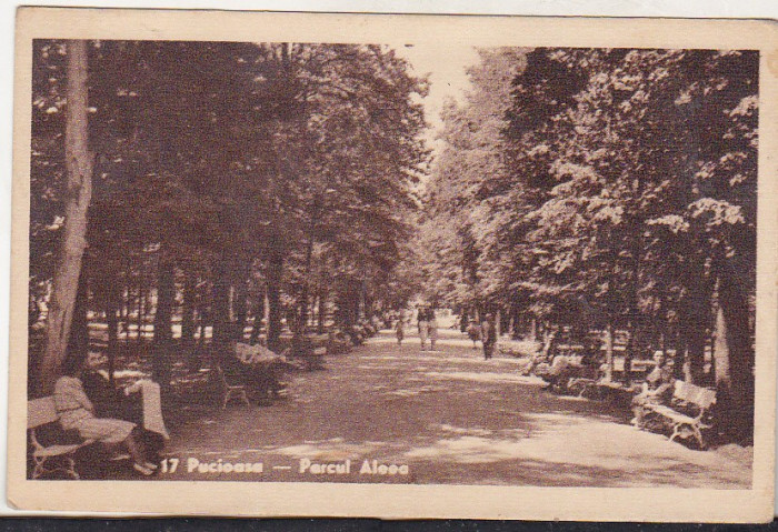 bnk cp Pucioasa - Parcul . Aleea - uzata 1945