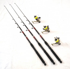 Set pescar amator, compus din 3 lansete 2,7 cu 3 mulinete LC540 si FIR foto