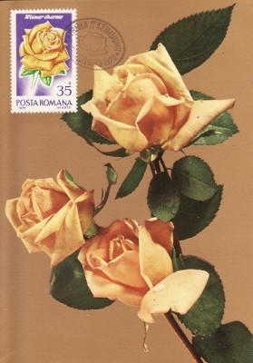 4974 - Romania 1970 - carte maxima foto