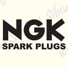 NKG Spark Plugs_Tuning Moto_Cod: MST-110_Dim: 15 cm. x 7.4 cm. foto