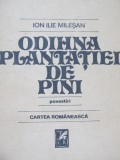 Odihna plantatiei de pini - Povestiri - Ion Ilie Milesan