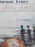 Oglinda oarba - Michele Prisco