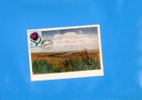 MAXIM A ROMANIA FLORI 1 BUC 1971