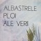 Albastrele ploi ale verii