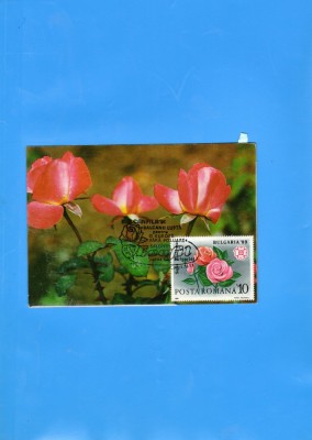MAXIMA ROMANIA FLORI 1991 1 BUC. foto