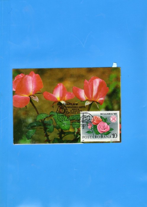 MAXIMA ROMANIA FLORI 1991 1 BUC.