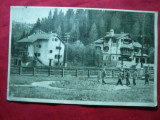 Ilustrata Timisul de Sus - Case de Odihna , circulat 1957