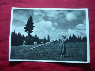 Ilustrata Muntii Apuseni - Fata cu Tulnic , anii&amp;#039;60 foto