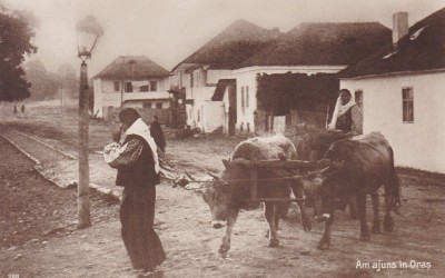 AM AJUNS IN ORAS .TARANCE IN COSTUME POPULARE SI CAR CU BOI. foto