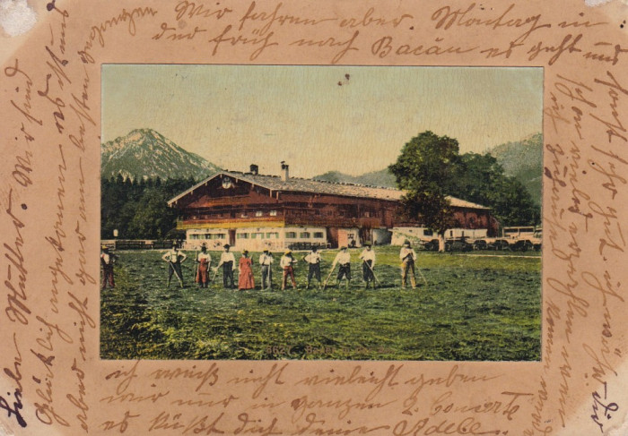 AGRICULTORI . BAUER IN DER AU. CIRCULATA ROMAN - BUCURESTI AUGUST 1902