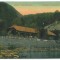 10 - CACIULATA, Valcea, Izvorul - old postcard - unused