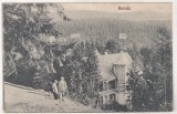 bnk cp Borsec - Vedere - circulata 1931