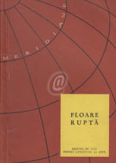 Floare rupta foto