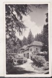 Bnk cp Tusnad - Vedere - necirculata interbelica, Printata, Baile Tusnad