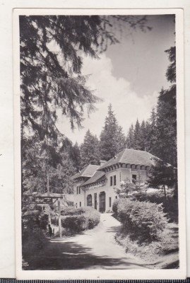 bnk cp Tusnad - Vedere - necirculata interbelica foto