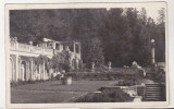 Bnk cp Sinaia - Castelul Peles - Terasele - uzata 1931, Circulata, Printata