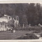 bnk cp Sinaia - Castelul Peles - Terasele - uzata 1931