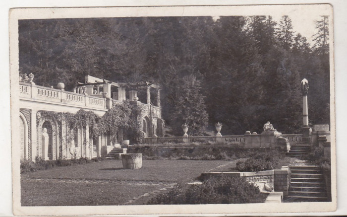 bnk cp Sinaia - Castelul Peles - Terasele - uzata 1931