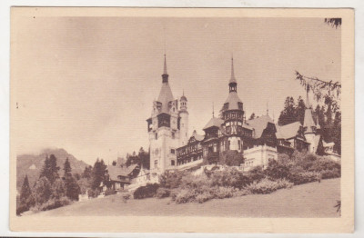 bnk cp Sinaia - Castelul Pelesl - uzata 1947 foto