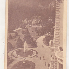 bnk cp Sinaia - Terasa Castelului Peles - uzata 1947