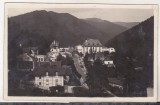 bnk cp Sinaia - Vedere generala - circulata 1931