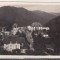 bnk cp Sinaia - Vedere generala - circulata 1931