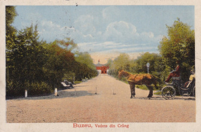 BUZAU , VEDERE DIN CRANG , CIRCULATA 1918 , POSTA GERMANA foto