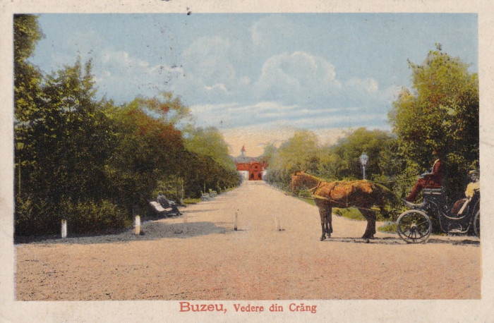 BUZAU , VEDERE DIN CRANG , CIRCULATA 1918 , POSTA GERMANA