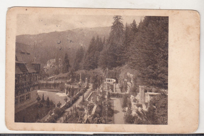 bnk cp Sinaia - Castelul Peles - Terasele - circulata 1924