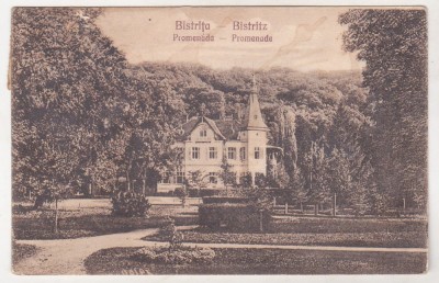 bnk cp Bistrita - Promenada - circulata 1927 foto