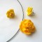set fimo 5309